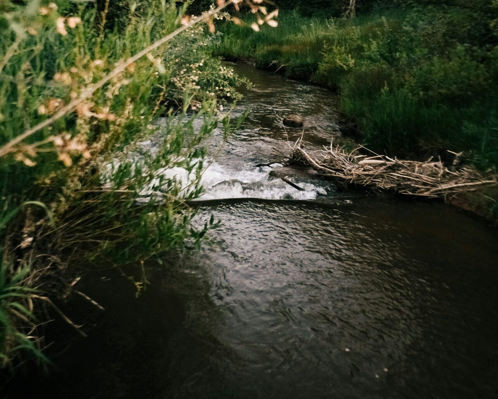 History of the Grand River in Missouri: More Than Just a River
