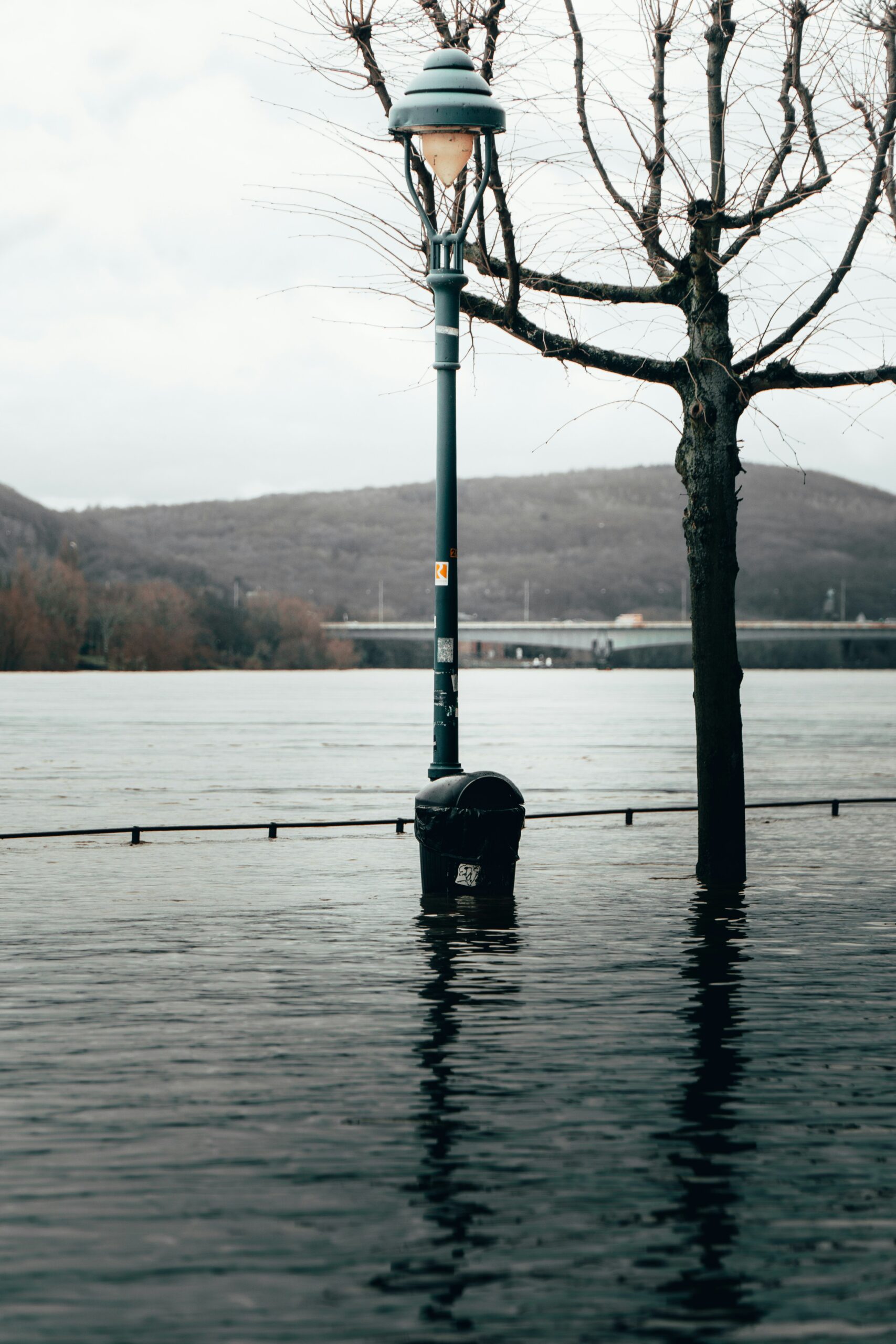 When Rivers Rise: What Happens During a Natural Flood?